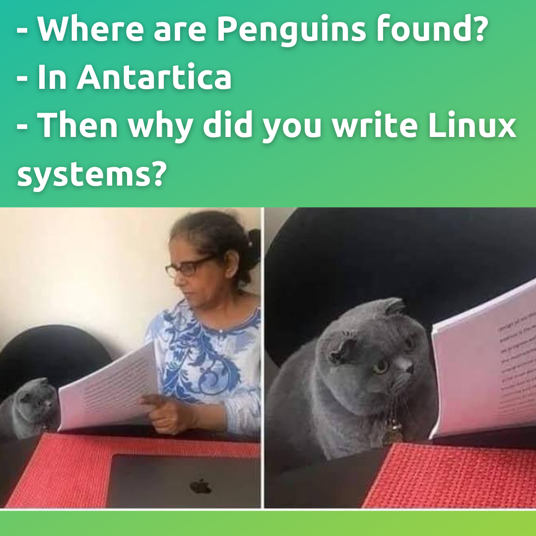 Surprised cat being shown a document meme Linuxified