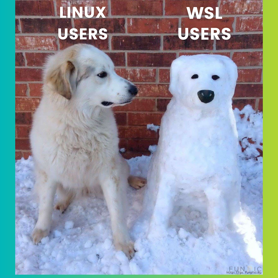 Linux meme by itsfoss