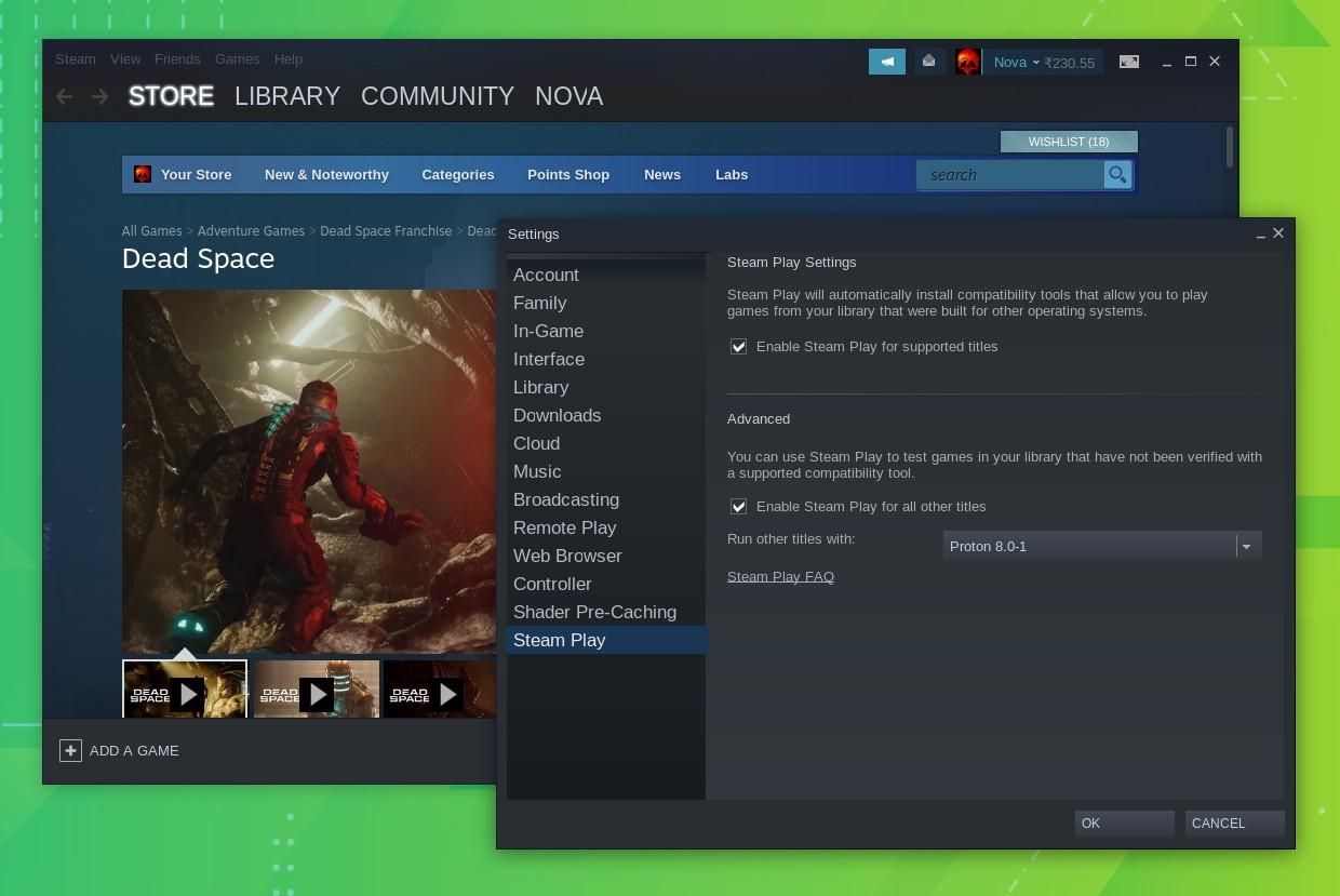 a screenshot of steam play running proton 8.0