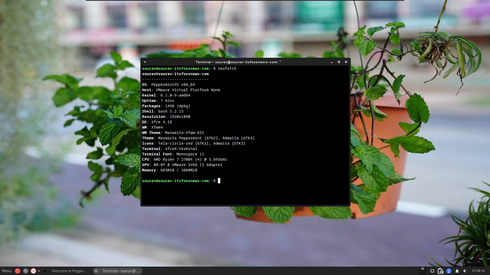 a screenshot of the neofetch output on peppermint os