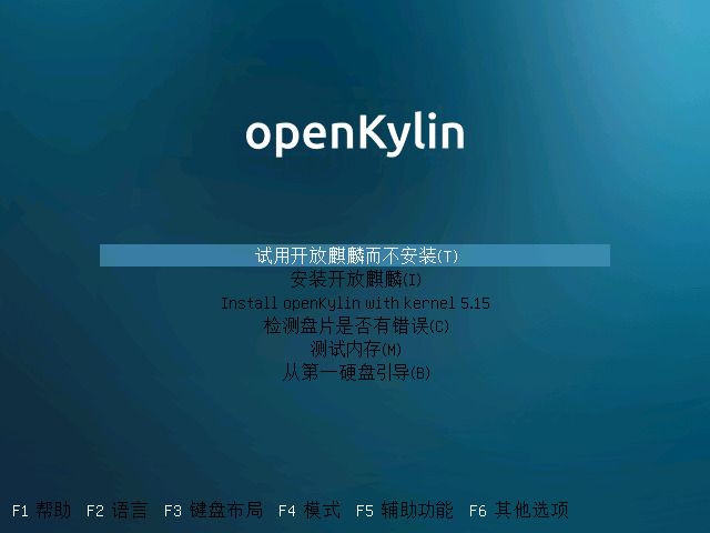 a screenshot of the openkylin installation type selection screen