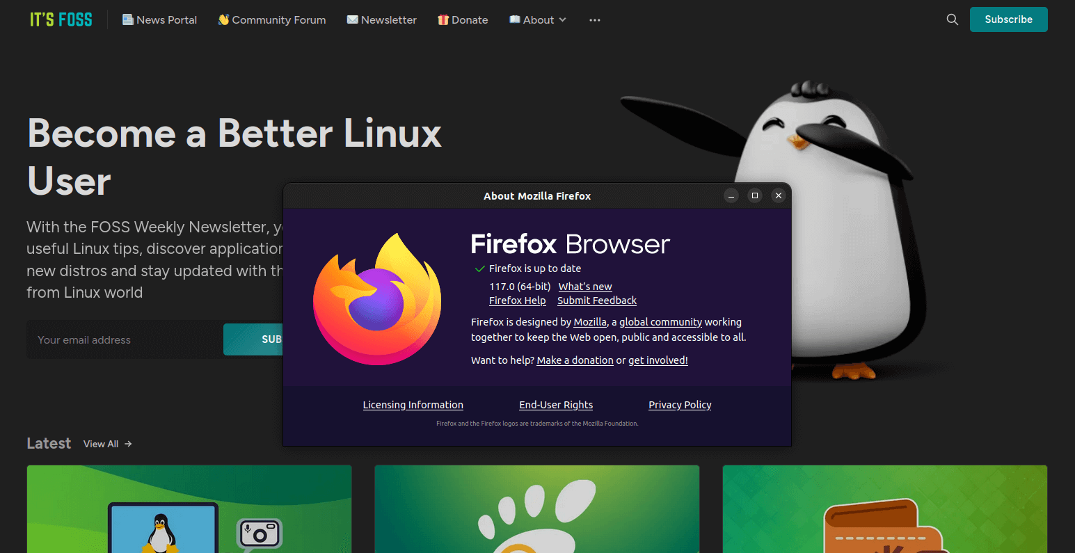 Captura de pantalla de la página Acerca de Mozilla Firefox 117