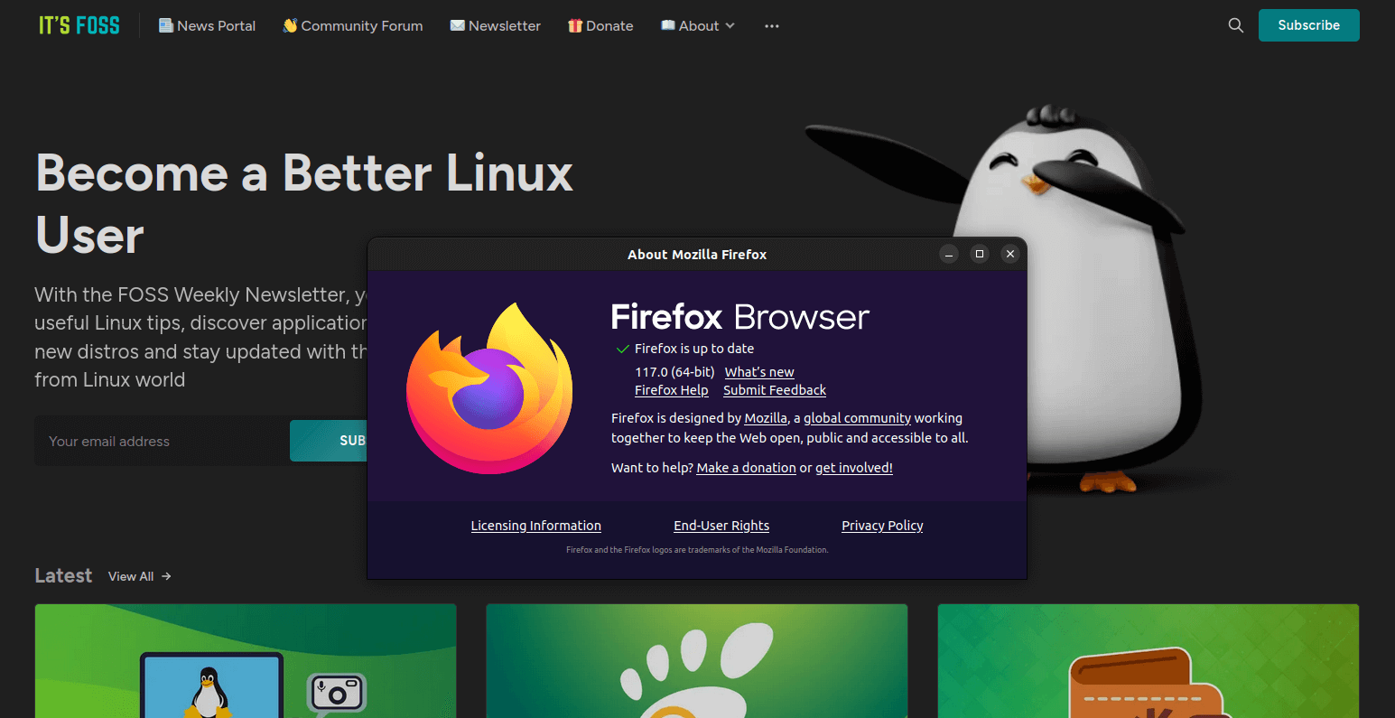 a screenshot of mozilla firefox 117 about page