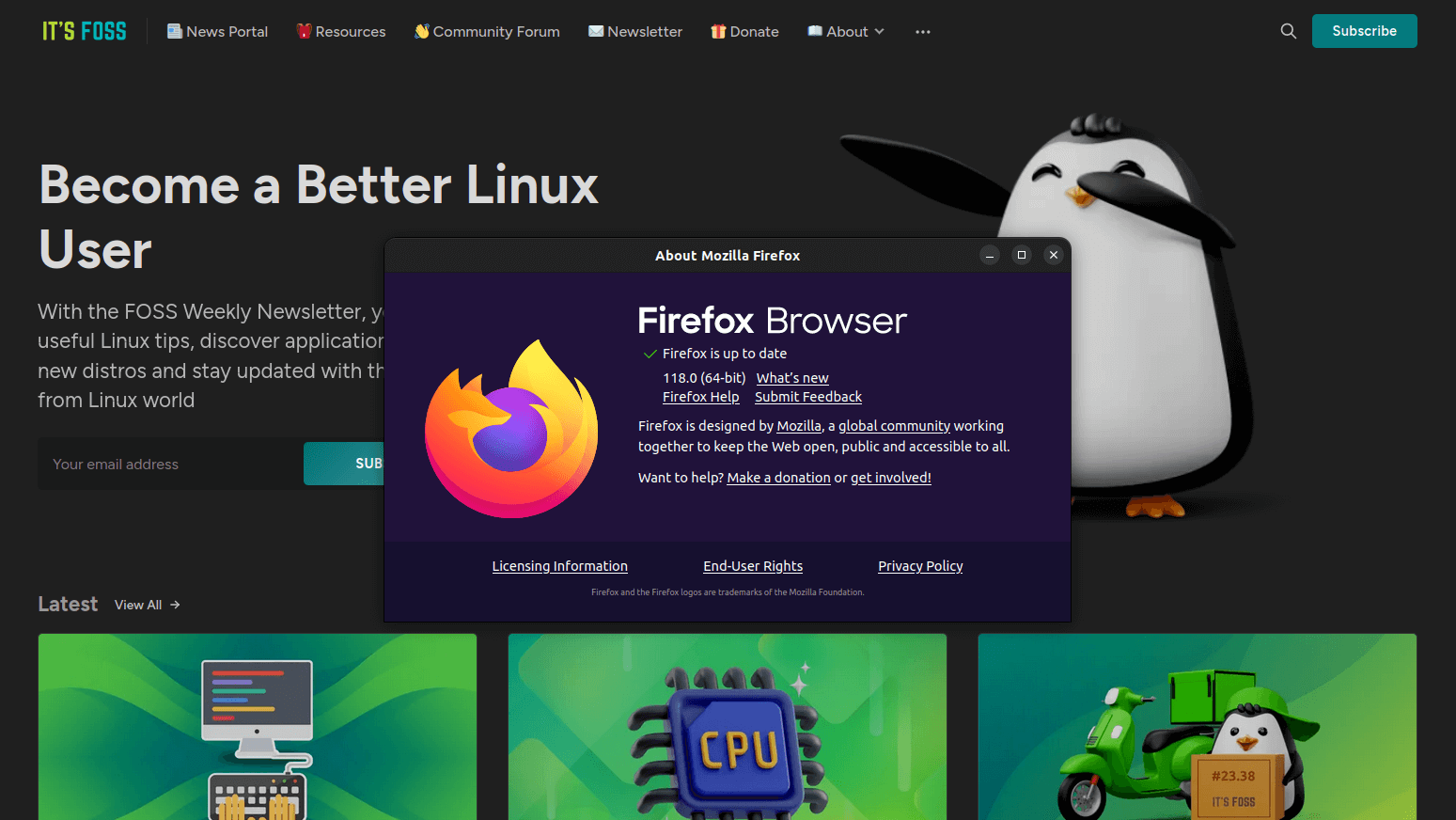a screenshot of the firefox about information