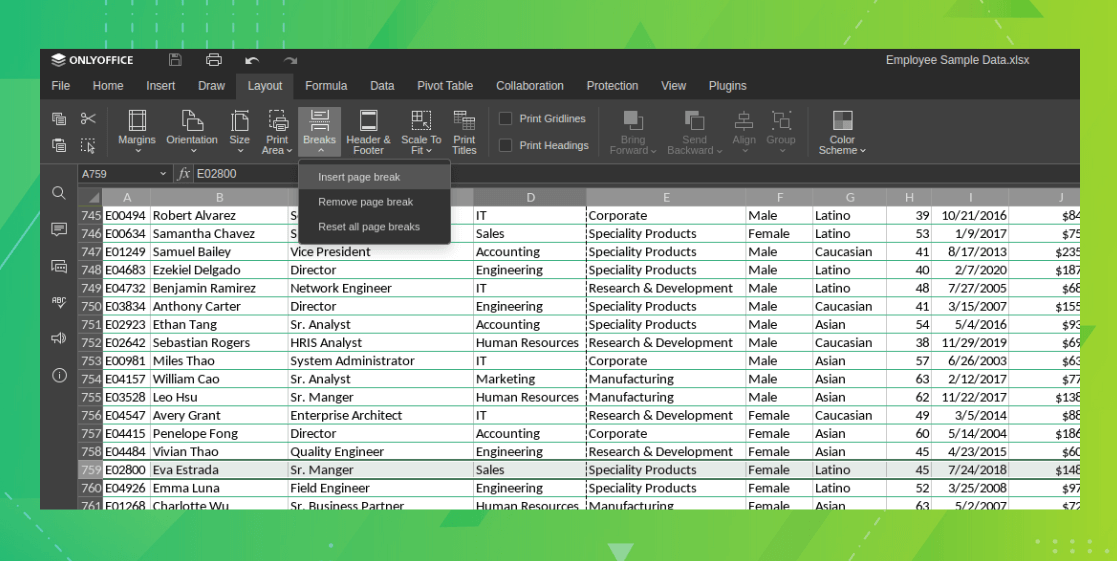 a screenshot of onlyoffice 7.5 new insert page brake feature for spreadsheet