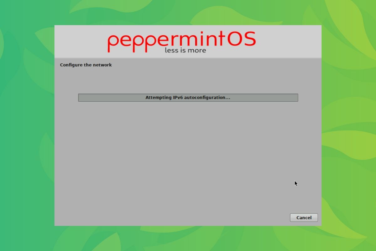 a screenshot of the peppermint mini installer