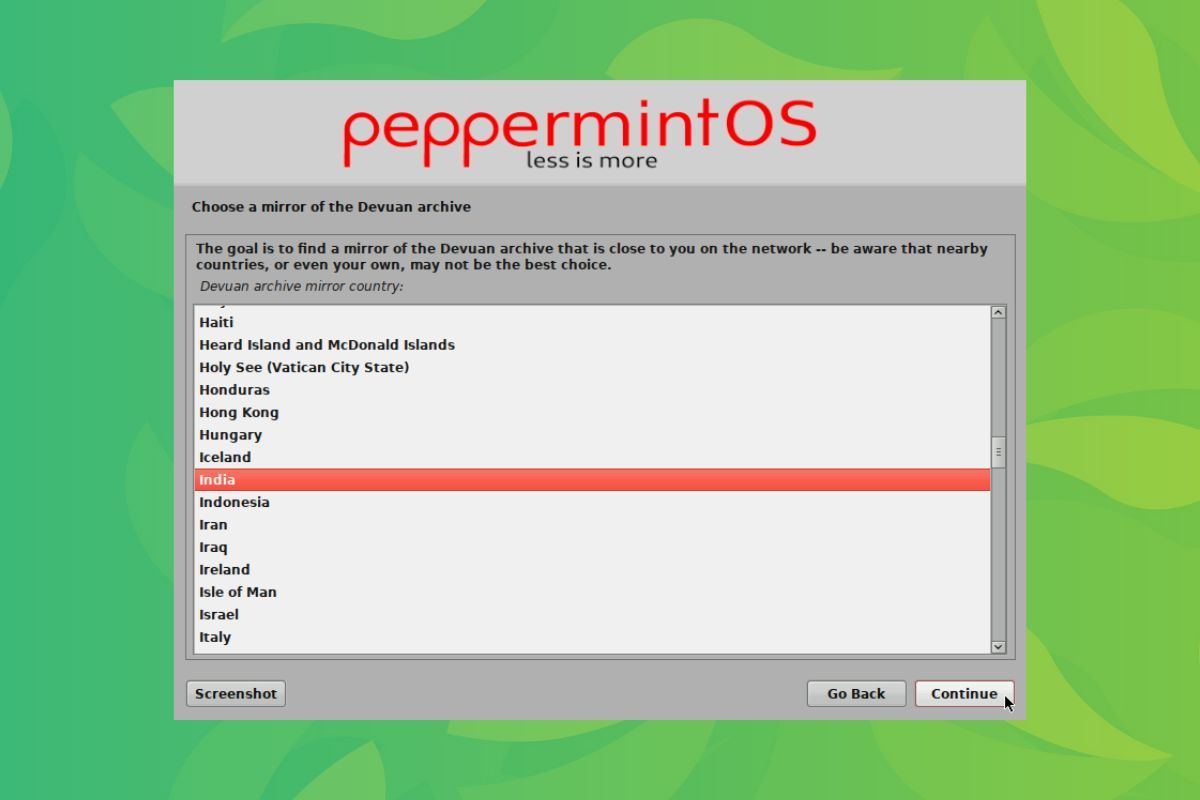 a screenshot of the peppermint mini installer