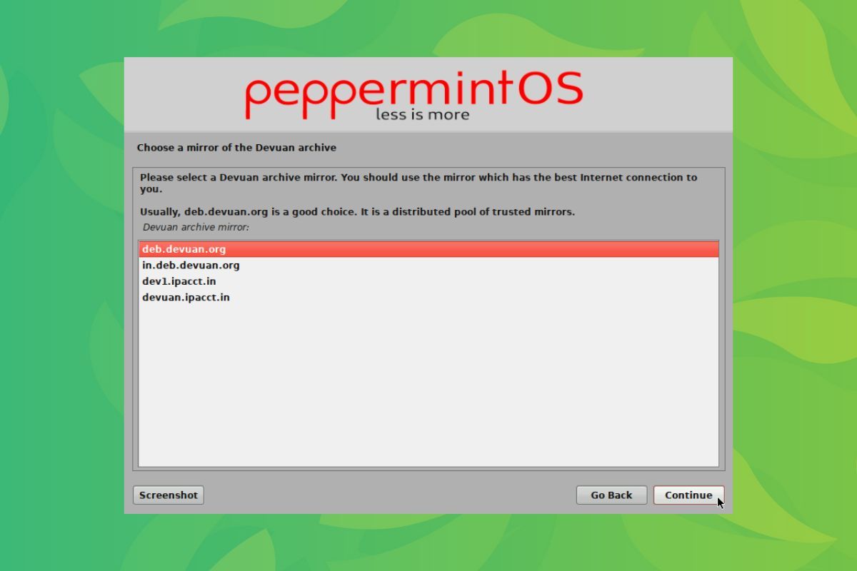 a screenshot of the peppermint mini installer