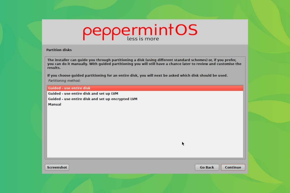 a screenshot of the peppermint mini installer