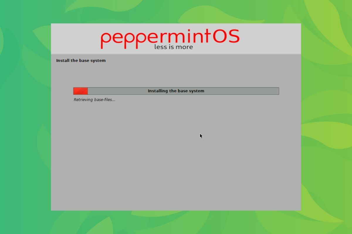 a screenshot of the peppermint mini installer