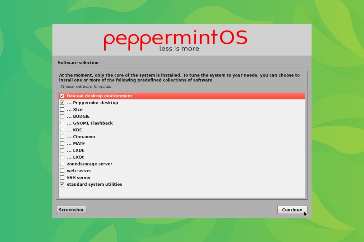 a screenshot of the peppermint mini installer