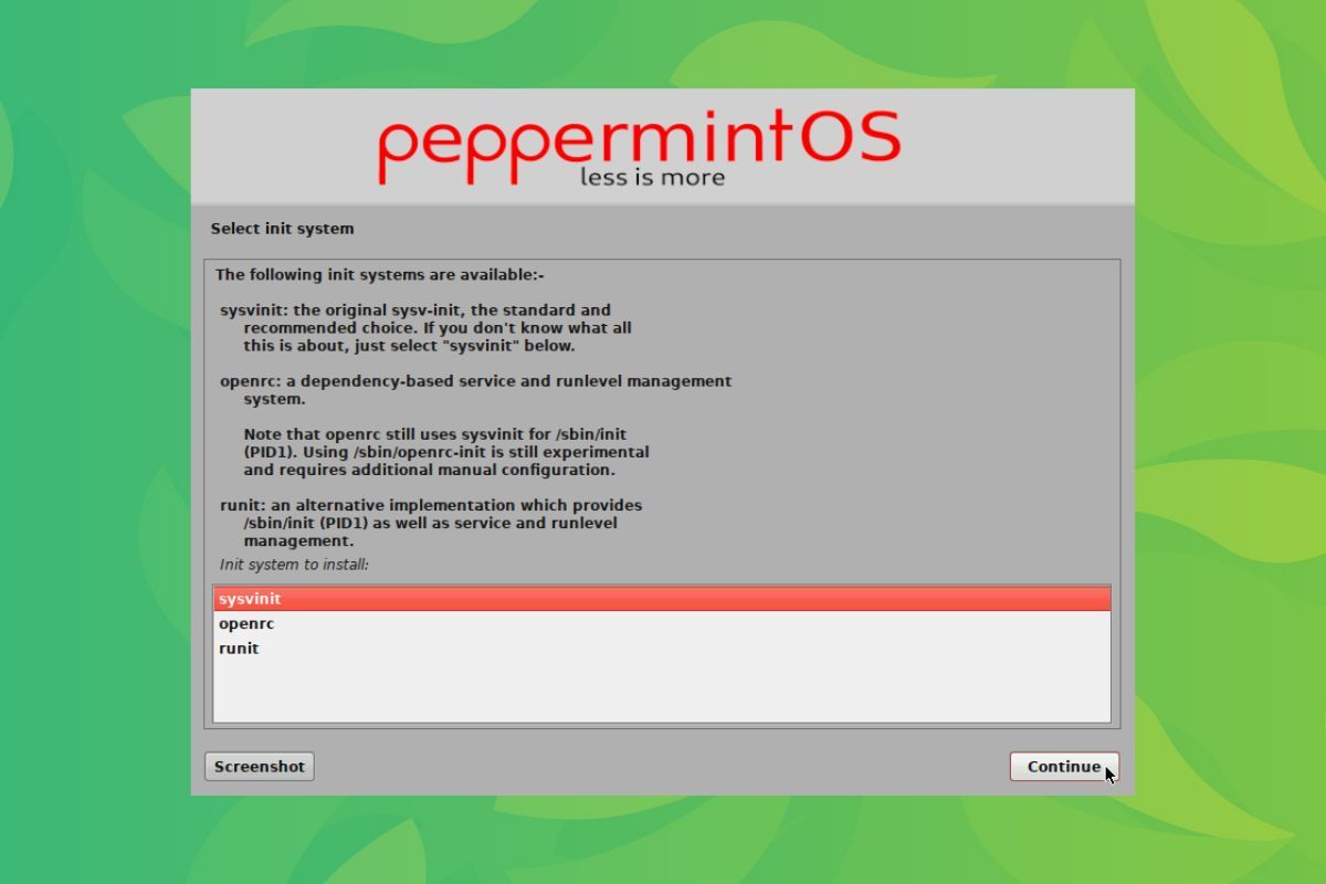 a screenshot of the peppermint mini installer