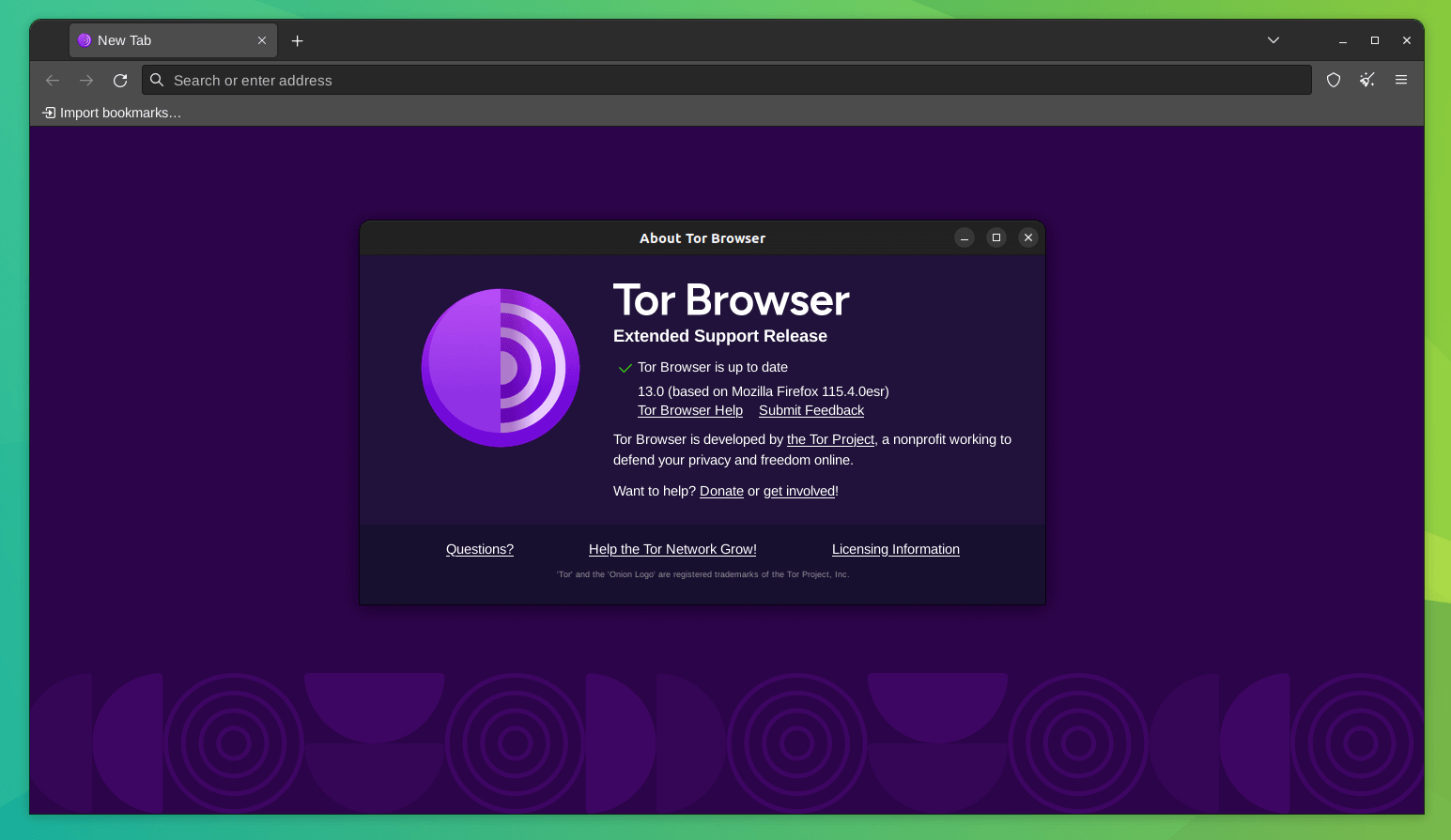 a screenshot of tor browser 13.0 about info
