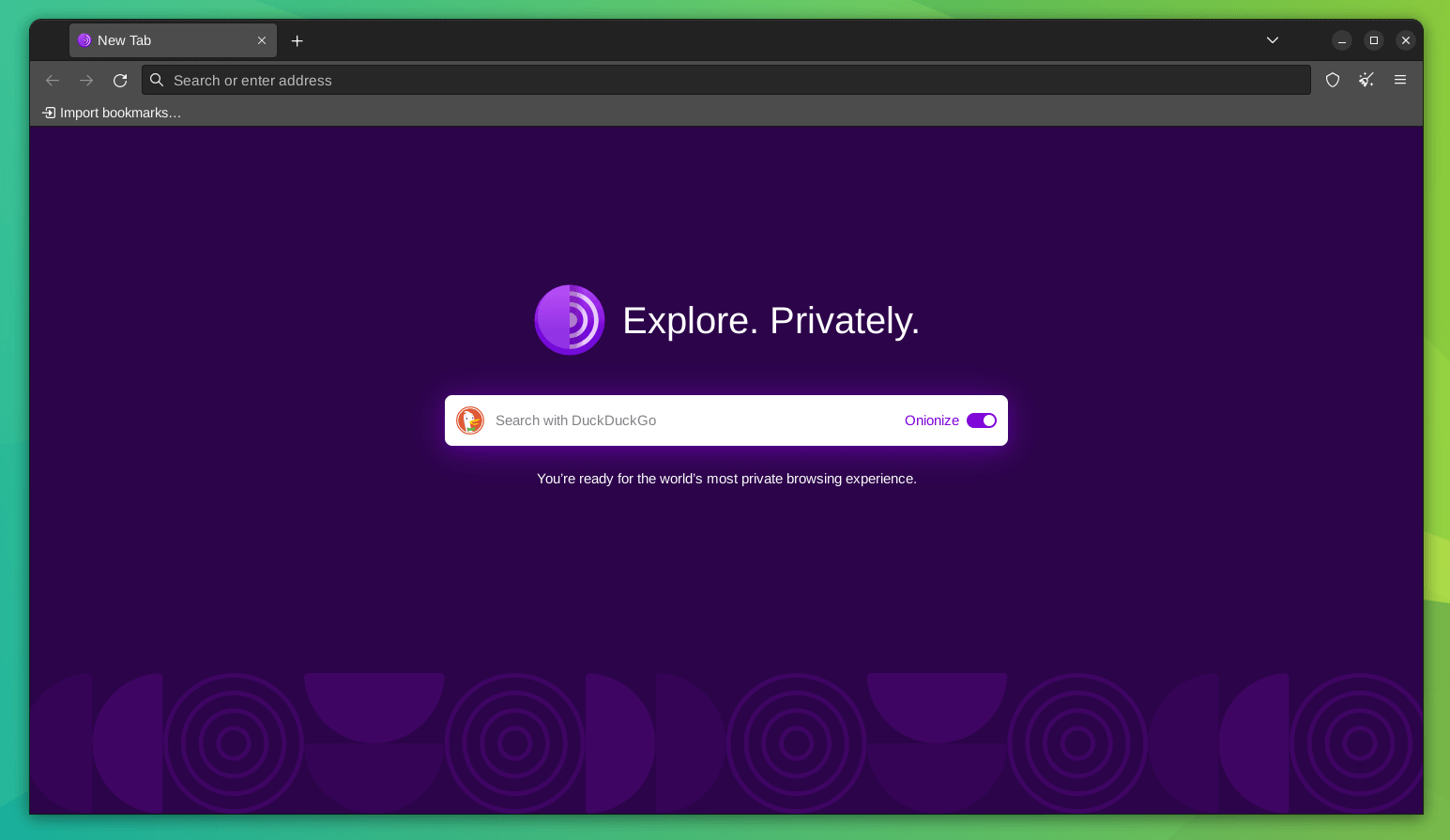 a screenshot of tor browser 13.0 updated homepage with the onionize duckduckgo feature enabled