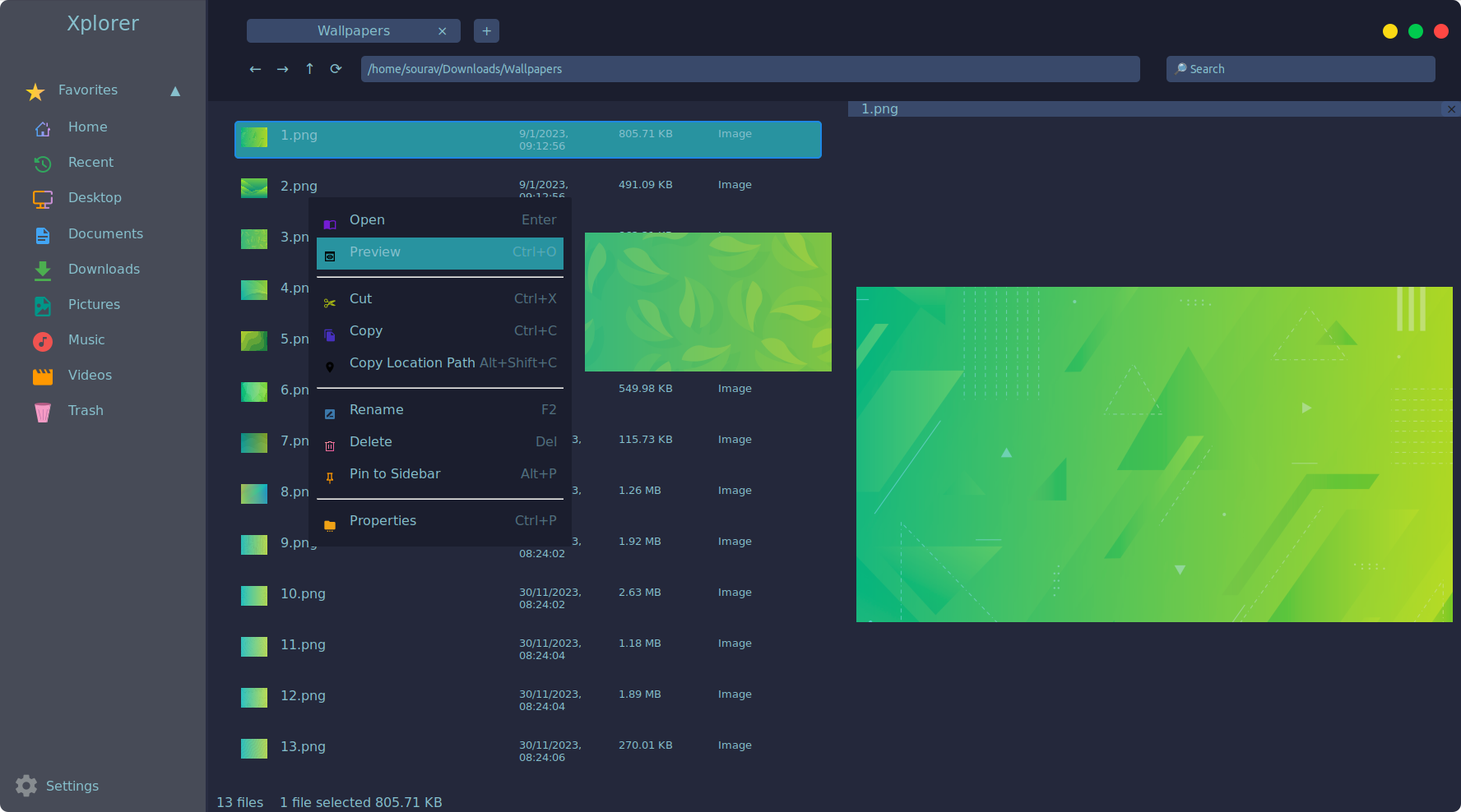 a screenshot of xplorer file preview feature