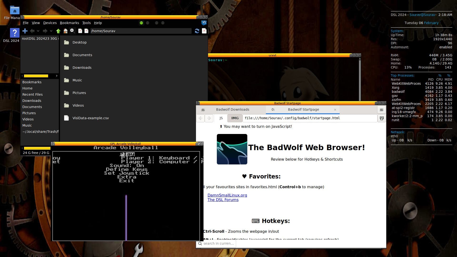 a screenshot of damn small linux 2024 alpha with a few applications open