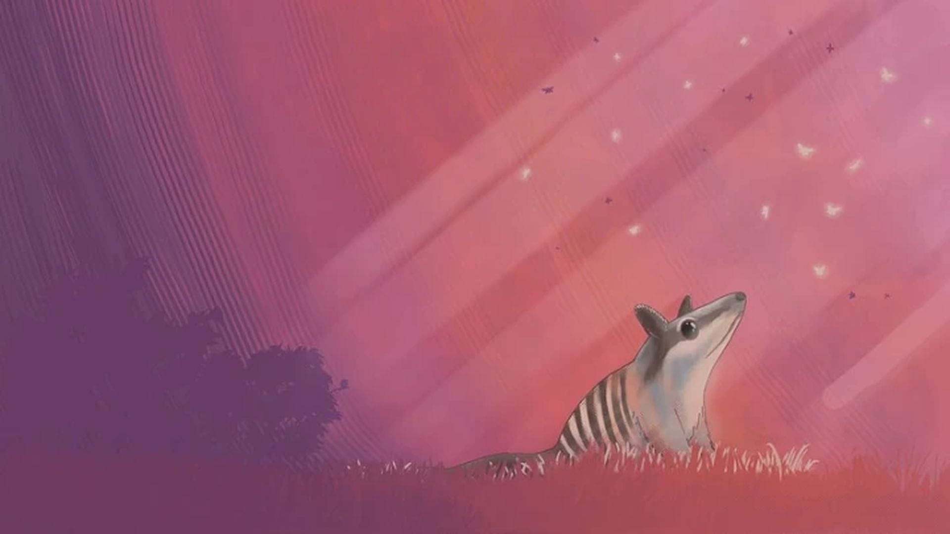 Ubuntu 24.04 LTS Wallpapers Are Here: Don't Miss Them!