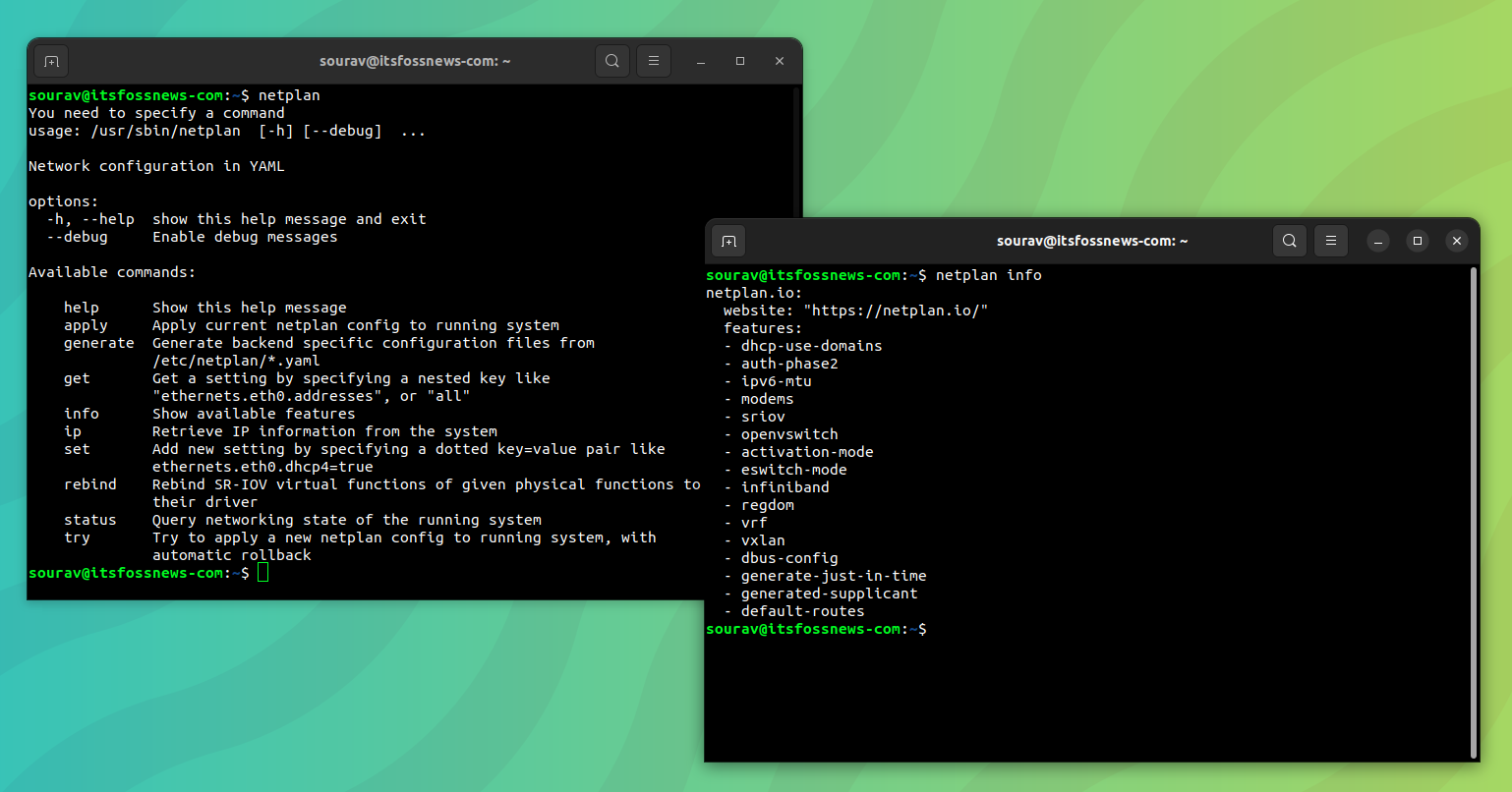 a screenshot showing two terminal windows with netplan and netplan info commands being run