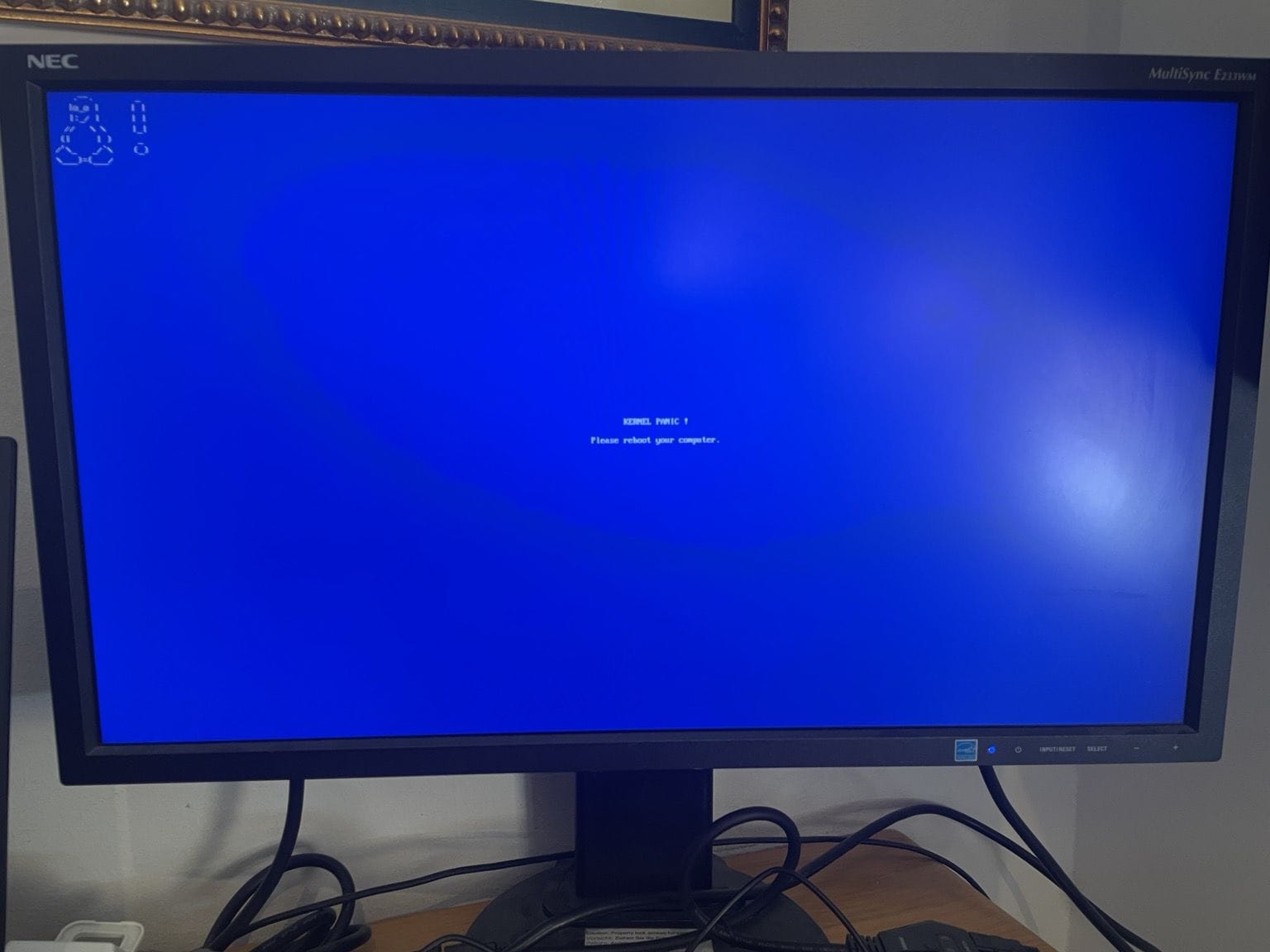 a photo showing a drm panic message with a blue background