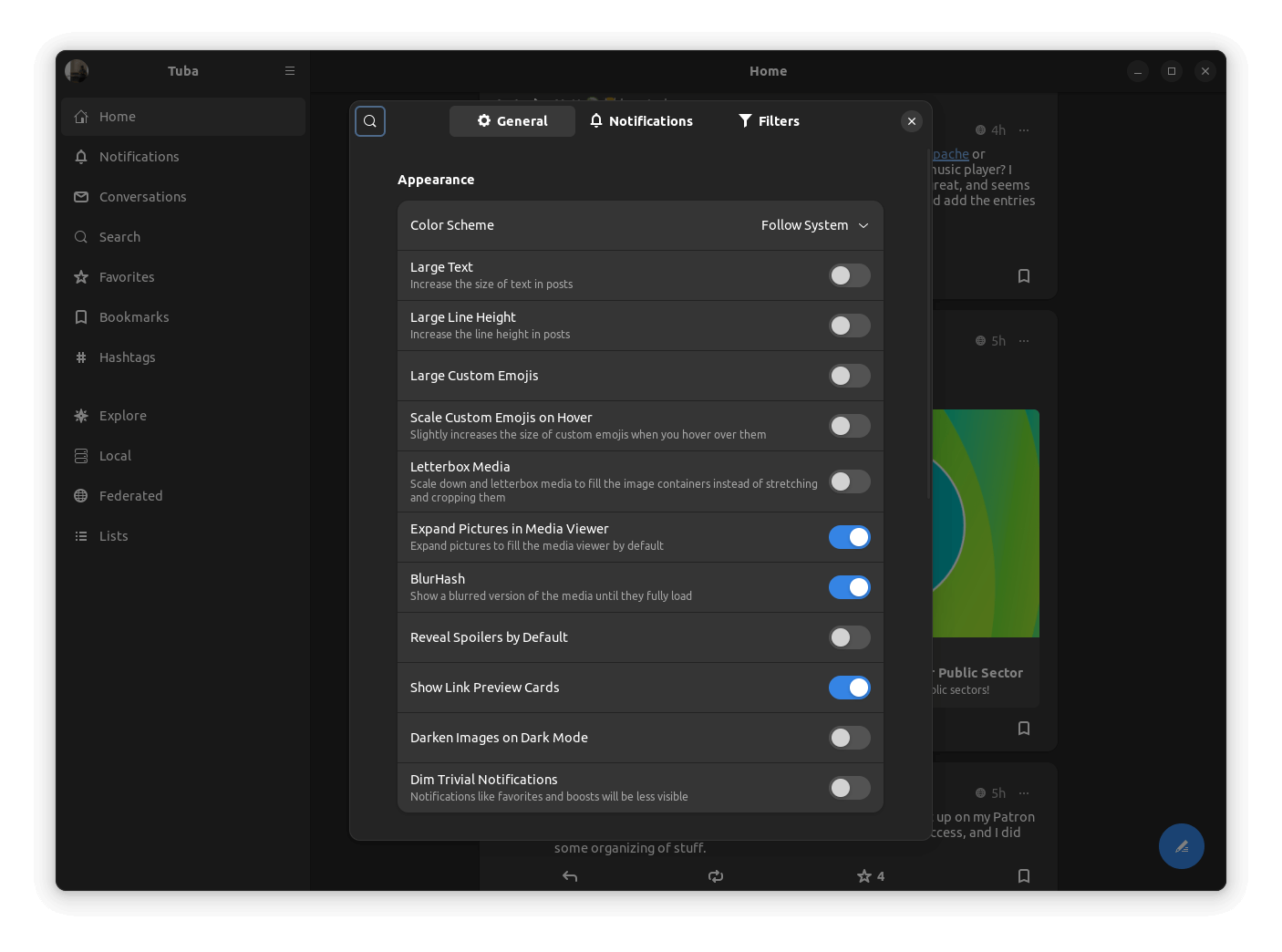 a screenshot of tuba settings menu