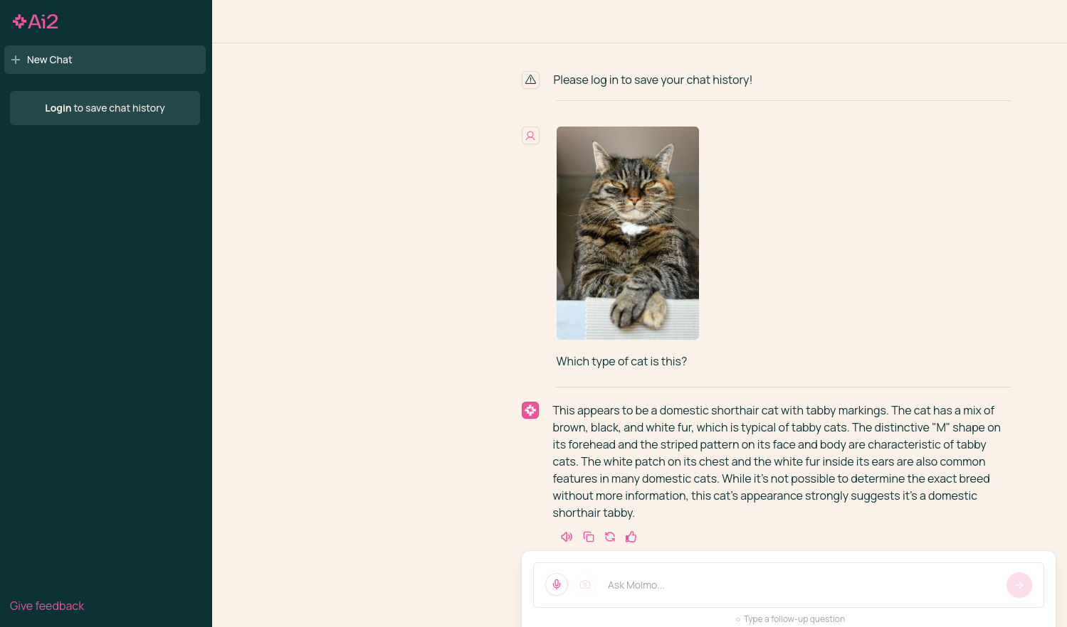 a screenshot of molmo explaining what type of cat is in a photo