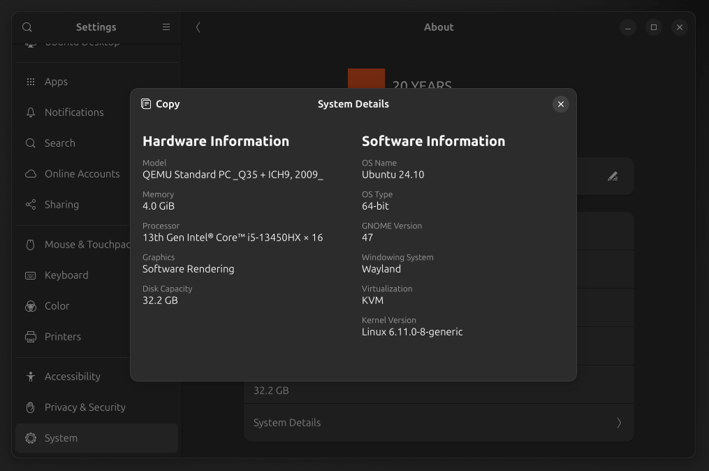 a screenshot of ubuntu 24.10 system details