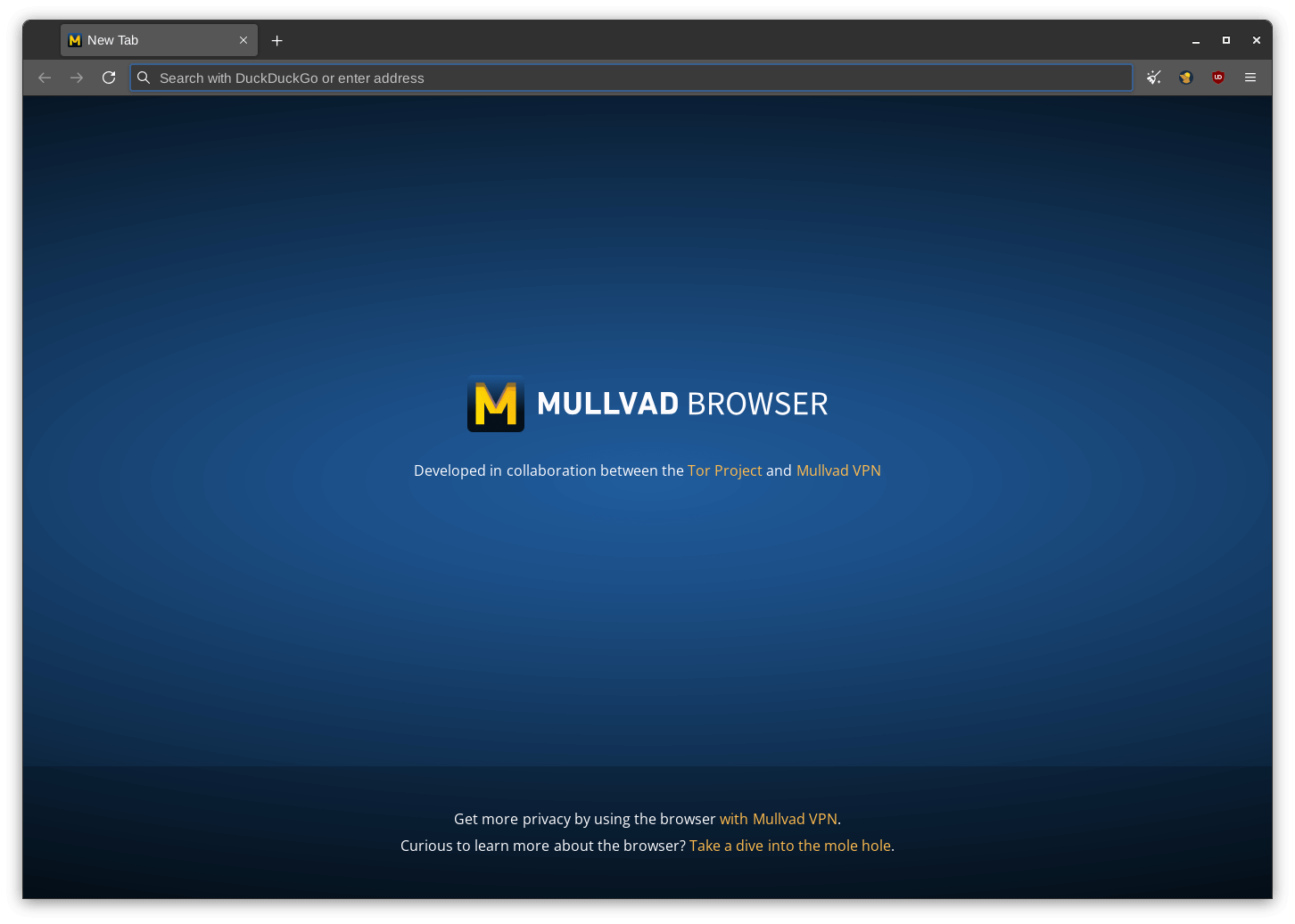 a screenshot of mullvad browser