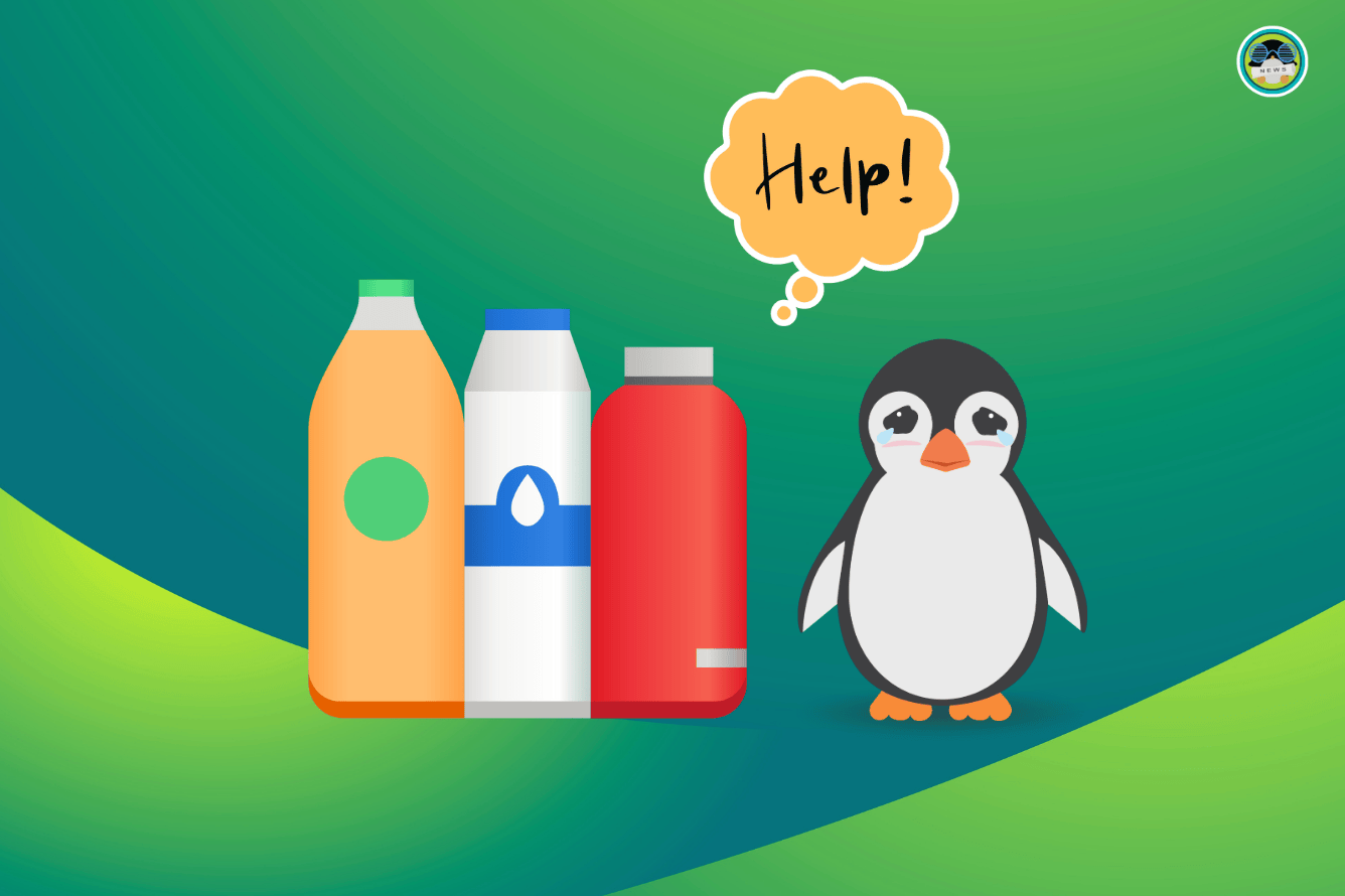 3 Million Installs, Only €100/Month: Bottles Needs Your Support!