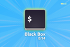 black box
