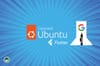google flutter