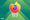 firefox 117