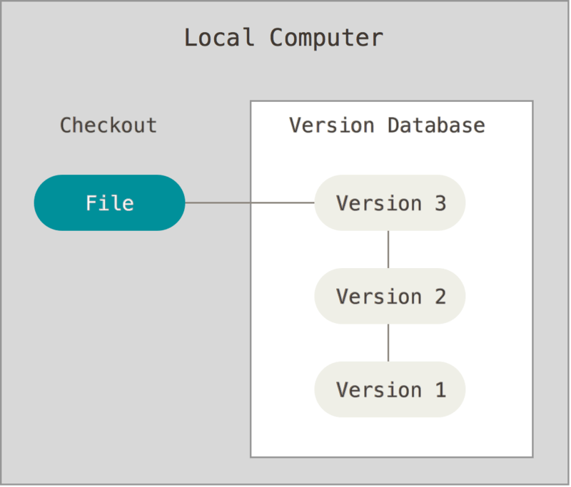 local version control