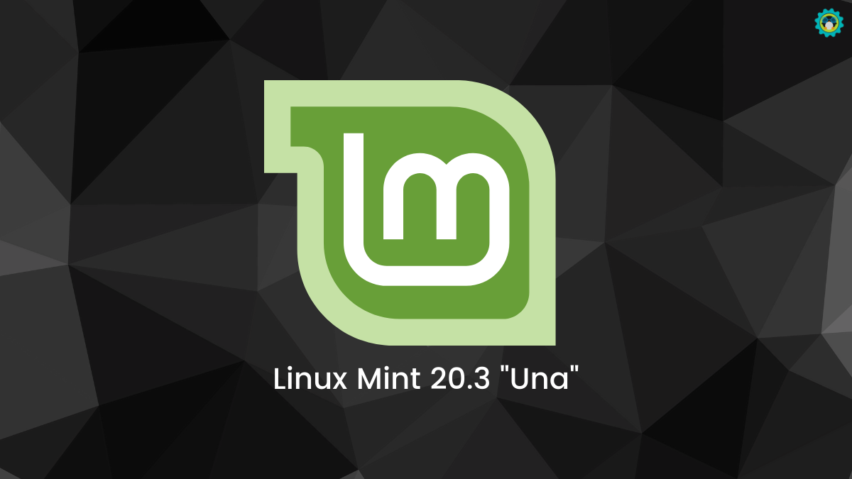 20 03. Linux Mint 20.3 Cinnamon.